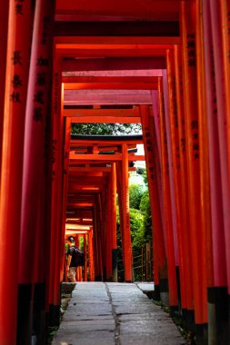 Tokyo, Japonya - 98 2019: Nezu türbesindeki kırmızı torii kemer yolları
