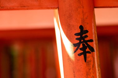 Tokyo, Japonya - 98 2019: Nezu türbesindeki kırmızı torii kemerleri