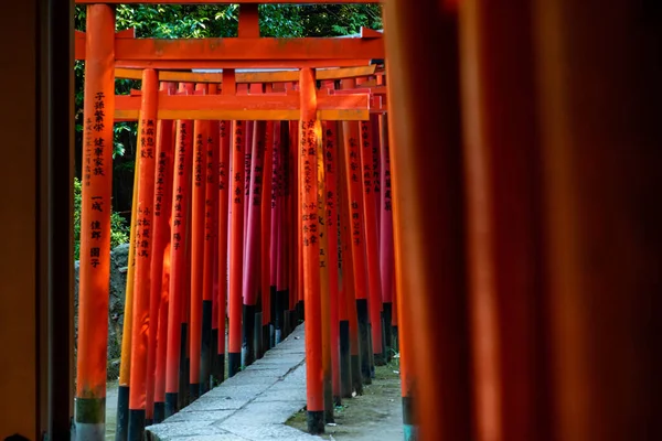 Tokio, Japan - 9 8 2019: De rijen van rode torii bogen in Nezu heiligdom — Stockfoto