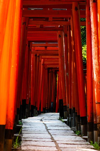 Tokio, Japan - 9 8 2019: De rijen van rode torii bogen in Nezu heiligdom — Stockfoto