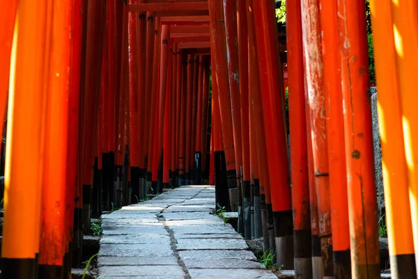 Tokyo, Japan - 9 8 2019: Rader av röda torii valv i Nezu helgedom — Stockfoto