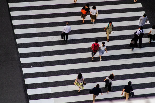 Tokyo, Japonia - 9 8 19: Oamenii care traversează o trecere a zebrei, văzuți de sus fotografii de stoc fără drepturi de autor
