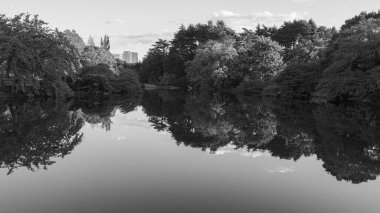 Tokyo, Japonya - 17.11.19: Shinjuku Gyoen 'deki büyük göletler
