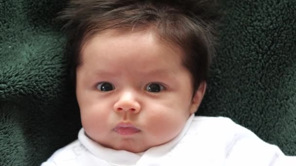 Um bebê bonito cooing e brincando com sua mãe ou pai — Vídeo de Stock