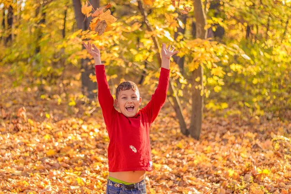 funny little boy rejoices falling yellow foliage on him in the autumn park