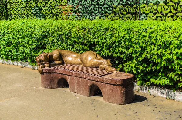 Banco Marrom Com Uma Estátua Ouro Uma Leoa Descansando Contra — Fotografia de Stock