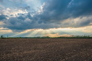 Bulutlarla dolu güzel bir günbatımının arka planına ekmeden önce siyah renkli toprak Chernozem ile tarlaya sürülmüş. Manzaranın panoramik görüntüsü