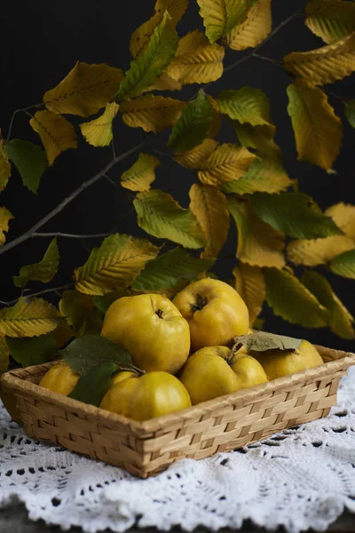 Apple quince dalam keranjang wicker — Stok Foto