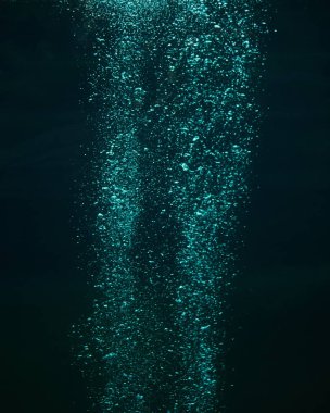 Tatlı su koyu arka plan üzerinde hava kabarcıkları