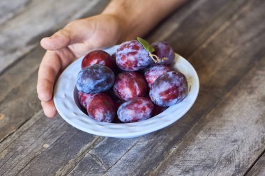 Genç adam taze Erik ile plaka ahşap arka plan üzerinde tutarak closeup