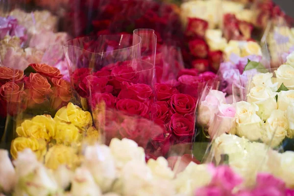 Closeup of colorful roses in flower shop