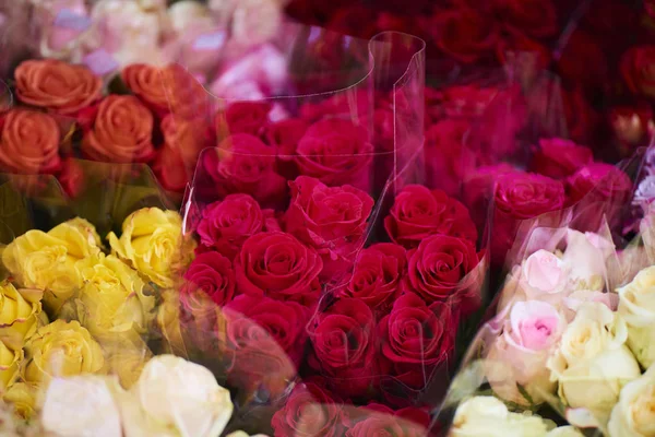 Closeup of colorful roses in flower shop