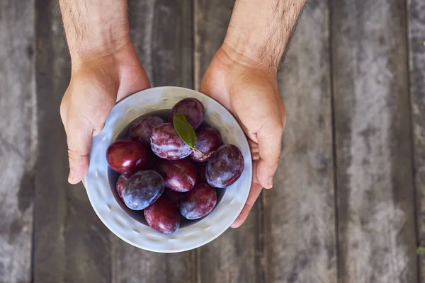 Closeup Young Man Holding Plate Fresh Plums Wooden Background — Stock Photo, Image