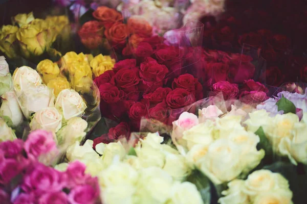 Closeup of colorful roses in flower shop