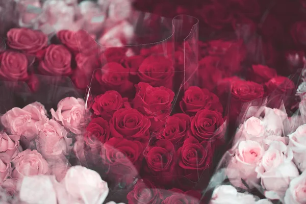 Fechar Rosas Coloridas Loja Flores — Fotografia de Stock