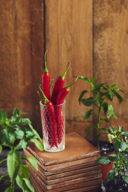 Cam ahşap arka plan üzerinde kırmızı sıcak biber biber bakla ile kompozisyon 