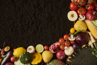 Taze çiğ sebze metin için yer kopyalayın. Tasarım moce kadar