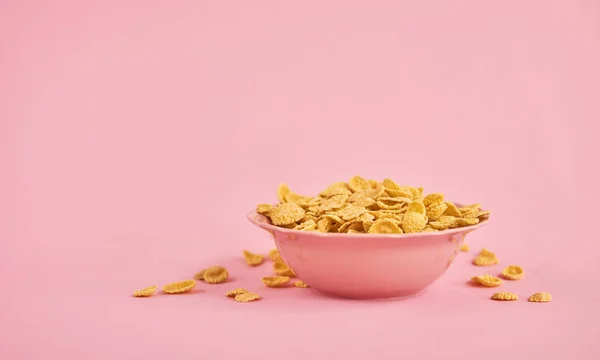 Pink plate with cereals on pink background. Design mockup with space to input your text