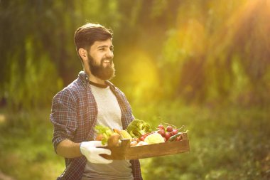 Genç adam sağlıklı organik sebzeli ahşap kutu tutan yaz park arka plan bulanık