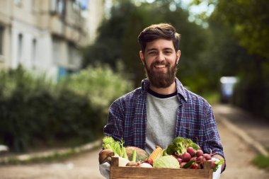 Genç adam sağlıklı organik sebzeli ahşap kutu tutan yaz park arka plan bulanık
