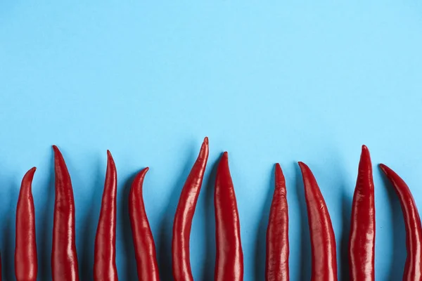 Plano Poner Pimientos Rojos Patrón Chiles Sobre Fondo Azul Vista — Foto de Stock