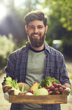 Genç adam sağlıklı organik sebzeli ahşap kutu tutan yaz park arka plan bulanık