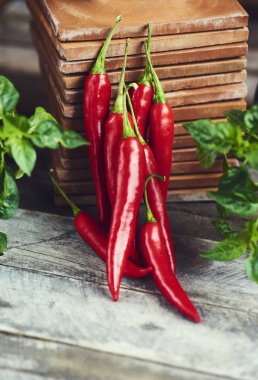 taze kırmızı sıcak biber biber