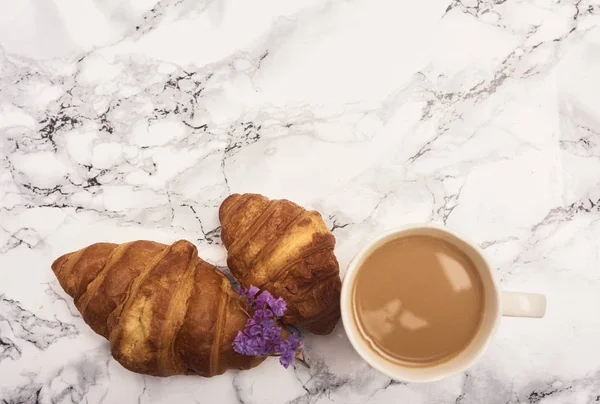 Croissants sabrosos recién horneados — Foto de Stock