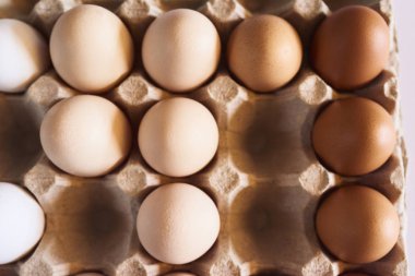 Tavuk yumurta karton konteyner döşeme Üstten Görünüm.