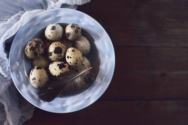 Bıldırcın taze yumurta ile tülbent rustik ahşap zemin üzerine mavi kapta.