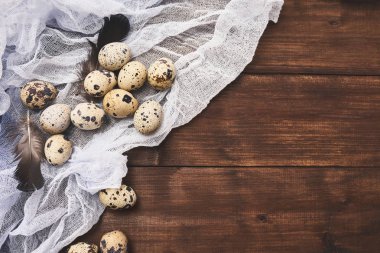 Bıldırcın taze çiğ yumurta rustik ahşap zemin üzerine tülbent ile kompozisyon.