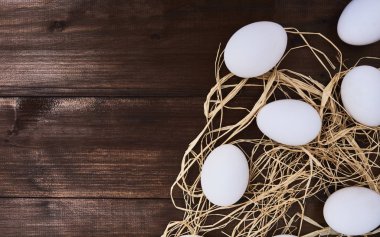Beyaz taze tavuk yumurta ahşap arka plan üzerinde döşeme saman ile Üstten Görünüm.