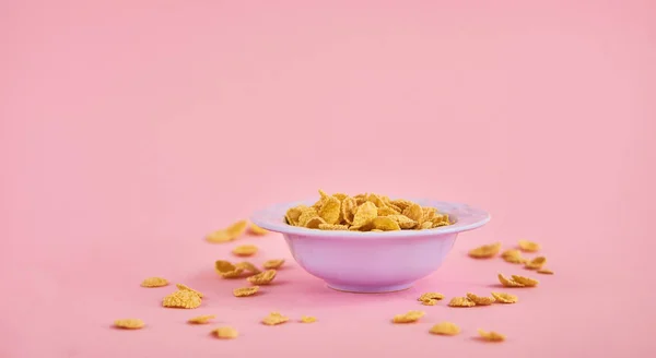 Placa Violeta Con Cereales Sobre Fondo Rosa — Foto de Stock