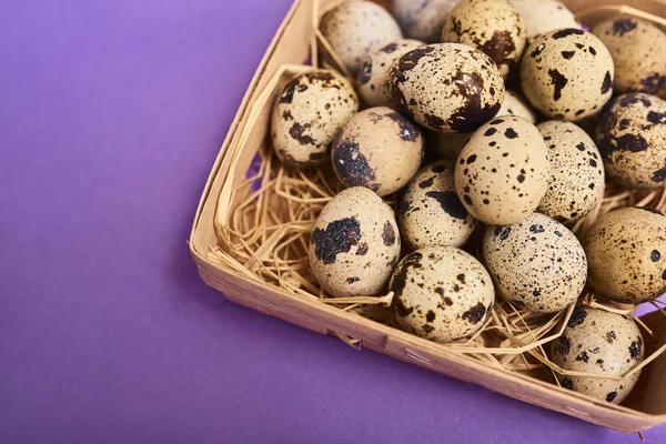Closeup Fresh Quail Eggs Wooden Box Purple Background — Stock Photo, Image