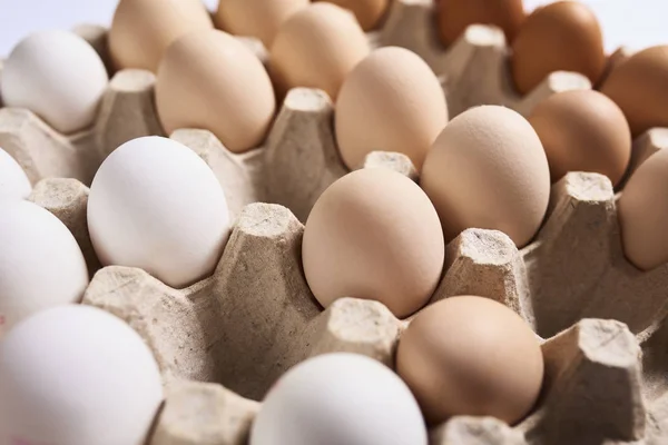 Closeup of chicken eggs laying in carton container.