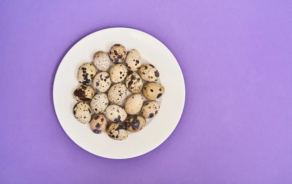 Top View Fresh Quail Eggs White Plate Purple Background — Stock Photo, Image