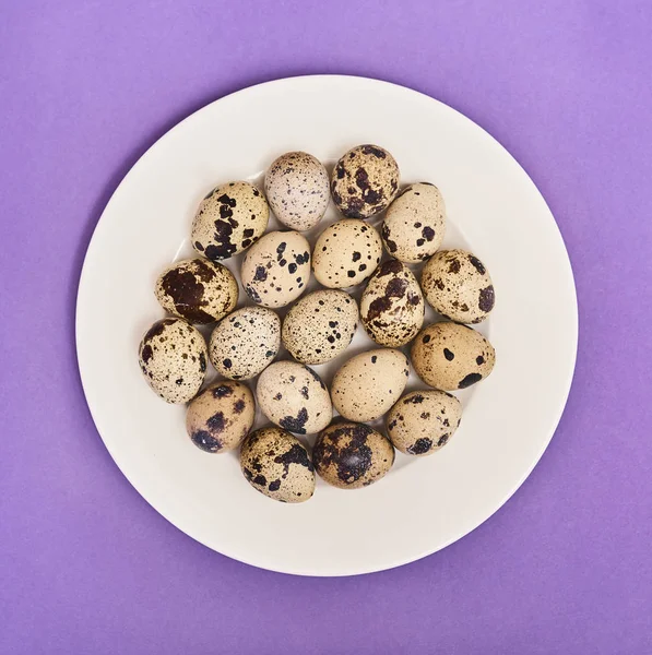 Top View Fresh Quail Eggs White Plate Purple Background — Stock Photo, Image