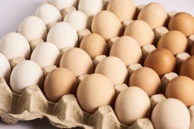 Tavuk yumurta karton konteyner renk gradyan ile döşeme görünümü kapat.