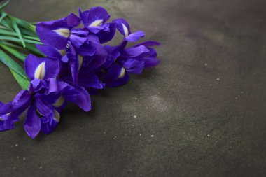 Bahar mor Iris çiçeği üzerinde koyu arka plan, sizin metin için yer ile tebrik kartı. Üstten Görünüm