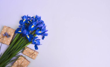Bahar mor Iris çiçeği ve mor arka plan, sizin metin için yer üzerinde küçük hediye kutusu tebrik kartı. Üstten Görünüm
