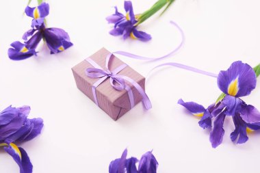 Bahar mor Iris çiçeği ve beyaz arka plan üzerinde hediye kutusu tebrik kartı