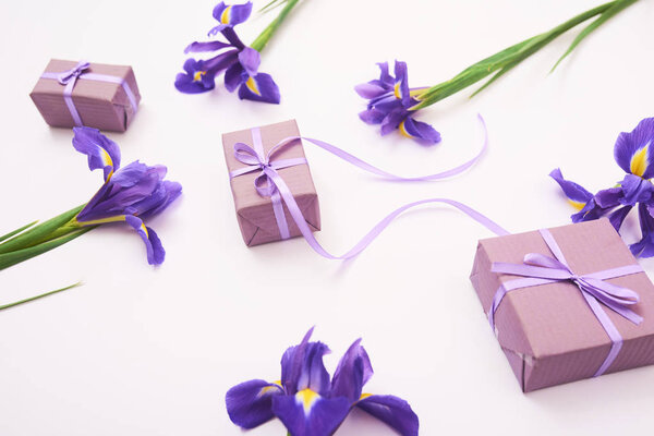 Открытки с весенними фиолетовыми цветами радужной оболочки и подарочными коробками на белом фоне
