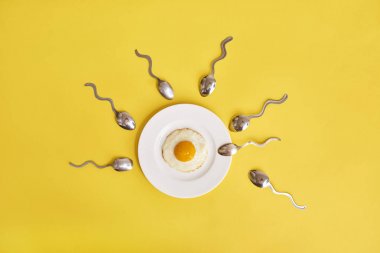 Fertilizasyon anlayışı. Sahanda yumurta beyaz tabak ve kaşık sperm rekabet, ovule için yüzen Spermatozoons benziyor. Sarı arka plan.