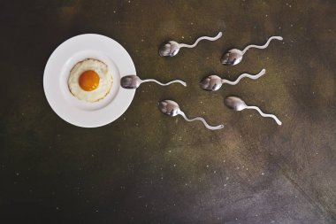 Fertilizasyon anlayışı. Sahanda yumurta beyaz tabak ve kaşık sperm rekabet, ovule için yüzen Spermatozoons benziyor. Siyah arka plan.