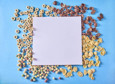 Tahıllar ve beyaz mavi arka plan üzerinde boş farklı türleri. Üstten Görünüm