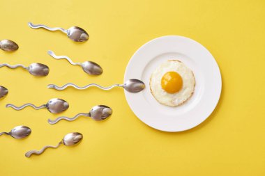 Fertilizasyon anlayışı. Sahanda yumurta beyaz tabak ve kaşık sperm rekabet, ovule için yüzen Spermatozoons benziyor. Sarı arka plan.