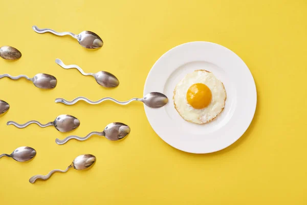 Fertilizasyon anlayışı. Sahanda yumurta beyaz tabak ve kaşık sperm rekabet, ovule için yüzen Spermatozoons benziyor. Sarı arka plan.
