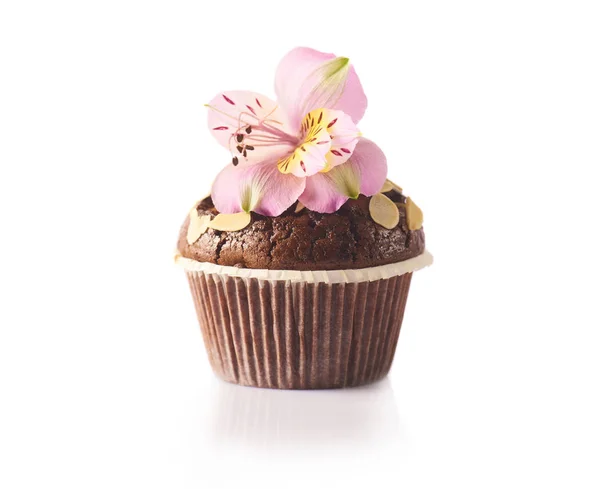 白い背景に分離された新鮮なピンク花でおいしいチョコレートのマフィン — ストック写真