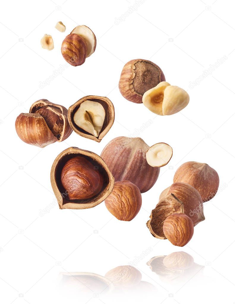 Hazelnuts crushed into pieces, frozen in the ai
