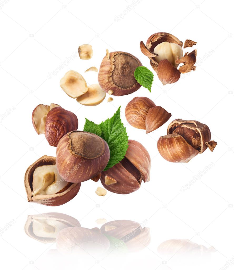 Hazelnuts crushed into pieces, frozen in the ai